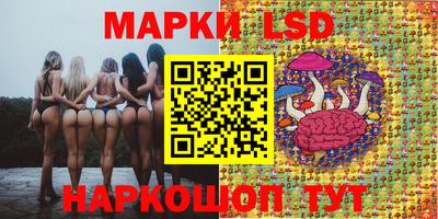 apvp Тайшет