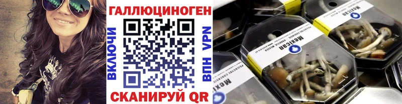 цены наркотик  Ачинск  Псилоцибиновые грибы GOLDEN TEACHER 