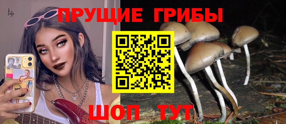 Галлюциногенные грибы мицелий Ачинск
