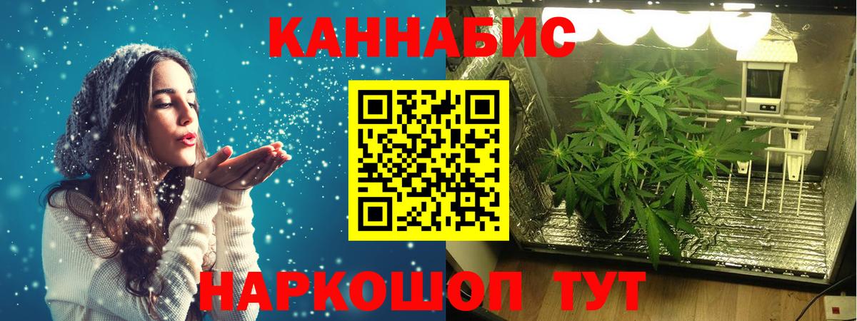 Бошки марихуана семена Ачинск